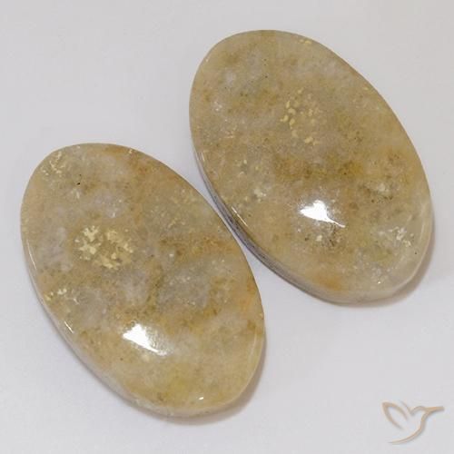 Shop natural 27.02ct Multicolore corail fossile gems, ovale, from Indonésie at GemSelect. In stock, global shipping!