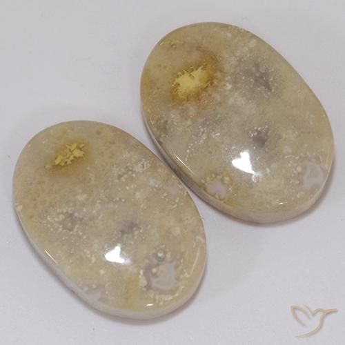 Shop natural 21.60ct Multicolore corail fossile gems, ovale, from Indonésie at GemSelect. In stock, global shipping!