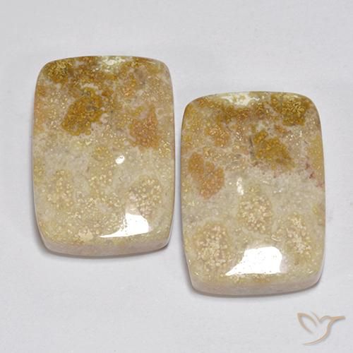 Shop natural 31.35ct Multicolore Corail fossile gems, Coussin, from Indonésie at GemSelect. In stock, global shipping!