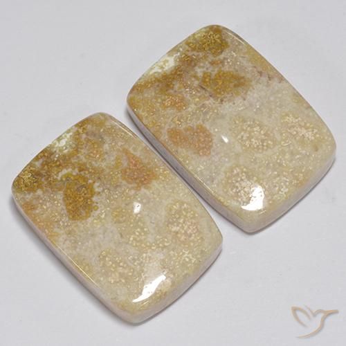 Shop natural 31.35ct Multicolore Corail fossile gems, Coussin, from Indonésie at GemSelect. In stock, global shipping!