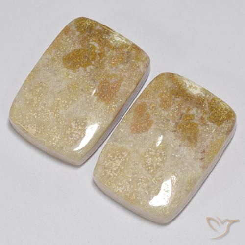 Shop natural 31.35ct Multicolore Corail fossile gems, Coussin, from Indonésie at GemSelect. In stock, global shipping!