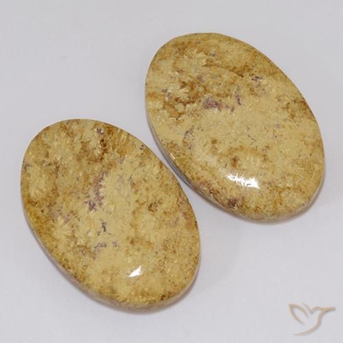 Shop natural 19.18ct Multicolore Corail fossile gems, ovale, from Indonésie at GemSelect. In stock, global shipping!