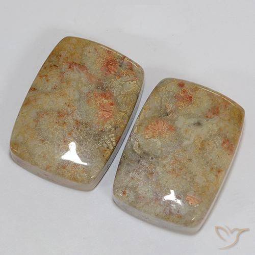 Shop natural 46.76ct Multicolore corail fossile gems, Coussin, from Indonésie at GemSelect. In stock, global shipping!