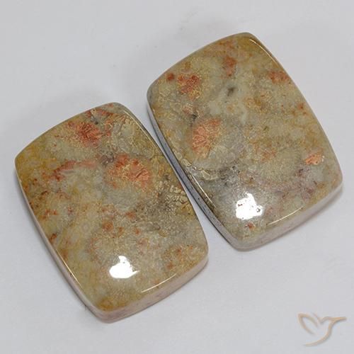 Shop natural 46.76ct Multicolore corail fossile gems, Coussin, from Indonésie at GemSelect. In stock, global shipping!