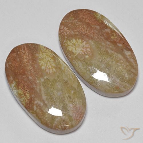 Shop natural 30.58ct Multicolore corail fossile gems, ovale, from Indonésie at GemSelect. In stock, global shipping!
