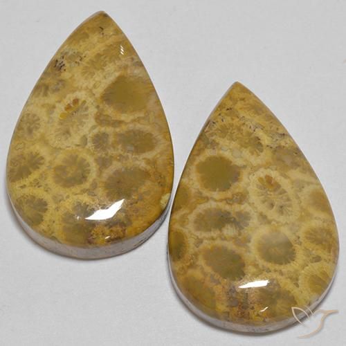 40.40ctw Naturel Multicolore Corail fossile, En forme de poire, Opaque