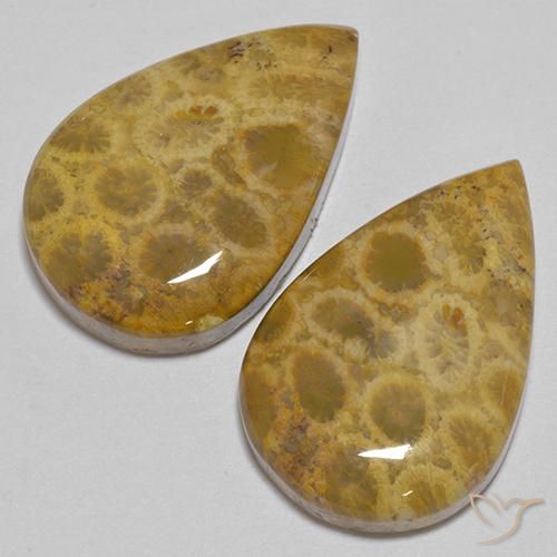 Shop natural 40.40ct Multicolore corail fossile gems, En forme de poire, from Indonésie at GemSelect. In stock, global shipping!