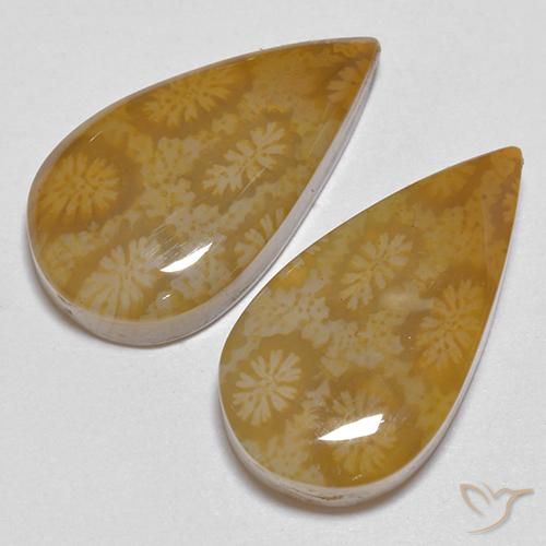 Shop natural 21.24ct Multicolore corail fossile gems, En forme de poire, from Indonésie at GemSelect. In stock, global shipping!