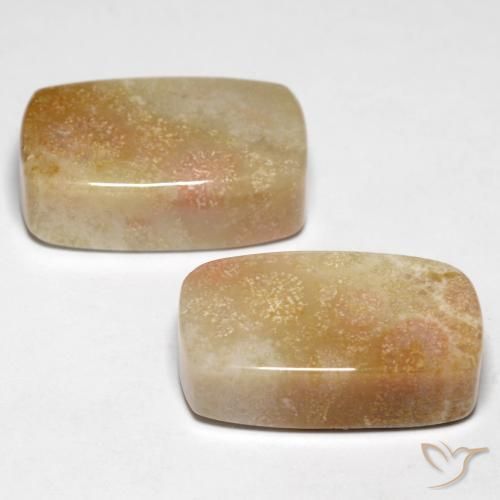 Shop natural 28.47ct Multicolore Corail fossile gems, Coussin, from Indonésie at GemSelect. In stock, global shipping!