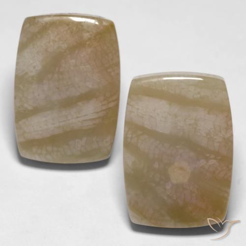 27.98ctw Naturel Multicolore corail fossile, Coussin, Opaque