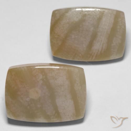 Shop natural 27.98ct Multicolore corail fossile gems, Coussin, from Indonésie at GemSelect. In stock, global shipping!