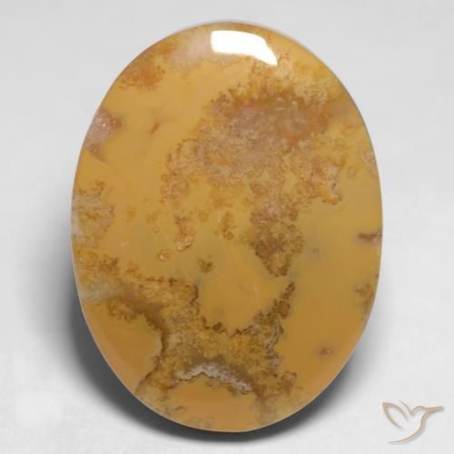 Corail fossile Multicolore naturelle ovale, 12.65 ct, Opaque