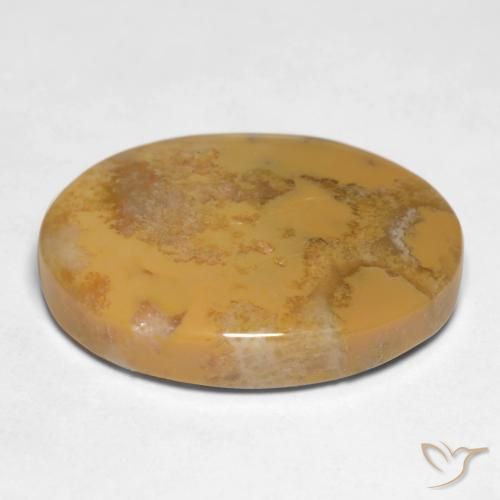 Corail fossile Multicolore naturelle ovale, 12.65 ct, Opaque