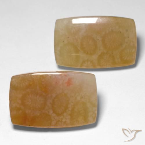Shop natural 31.00ct Multicolore corail fossile gems, Coussin, from Indonésie at GemSelect. In stock, global shipping!