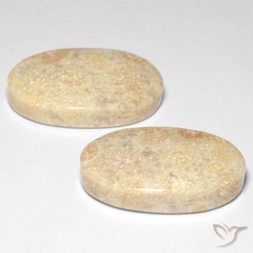 Shop natural 29.31ct Multicolore Corail fossile gems, ovale, from Indonésie at GemSelect. In stock, global shipping!