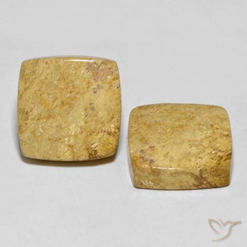 Shop natural 30.55ct Multicolore corail fossile gems, Coussin, from Indonésie at GemSelect. In stock, global shipping!