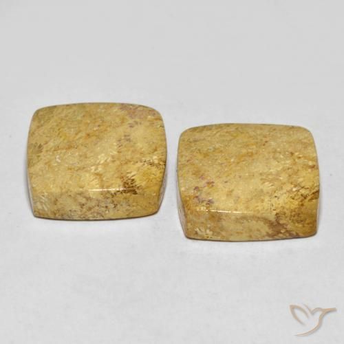 Shop natural 30.55ct Multicolore corail fossile gems, Coussin, from Indonésie at GemSelect. In stock, global shipping!