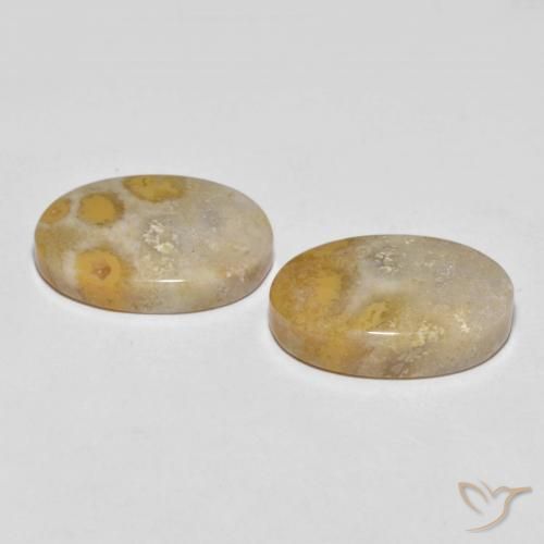 Shop natural 25.55ct Multicolore corail fossile gems, ovale, from Indonésie at GemSelect. In stock, global shipping!