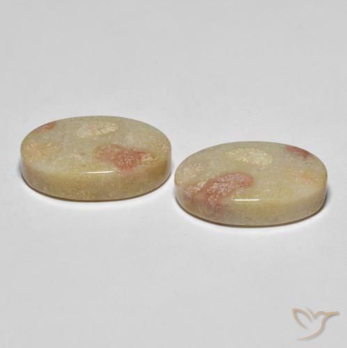 Shop natural 23.37ct Multicolore Corail fossile gems, ovale, from Indonésie at GemSelect. In stock, global shipping!