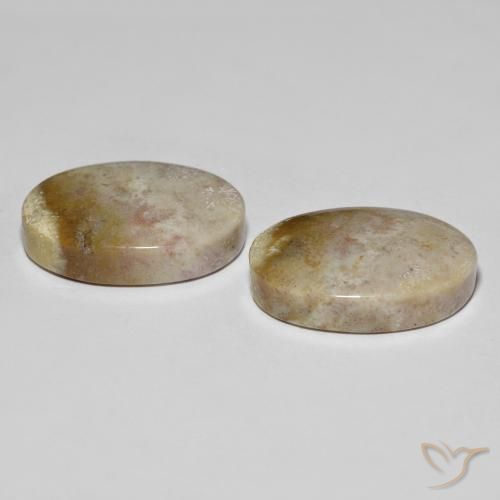 Shop natural 34.92ct Multicolore corail fossile gems, ovale, from Indonésie at GemSelect. In stock, global shipping!