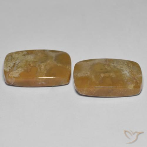 Shop natural 25.23ct Multicolore Corail fossile gems, Coussin, from Indonésie at GemSelect. In stock, global shipping!