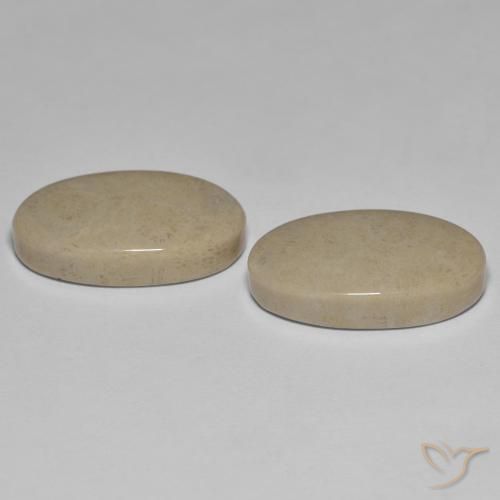Shop natural 23.47ct Multicolore corail fossile gems, ovale, from Indonésie at GemSelect. In stock, global shipping!