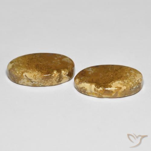 Shop natural 20.87ct Multicolore Corail fossile gems, ovale, from Indonésie at GemSelect. In stock, global shipping!