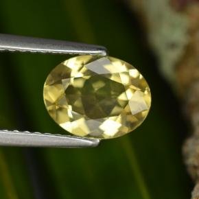 Béryl doré jaune naturelle coupe ovale, 1,22 ct, VVS-VS