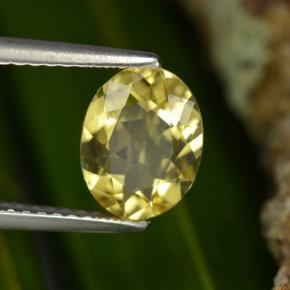 Béryl doré jaune naturelle coupe ovale, 1,22 ct, VVS-VS