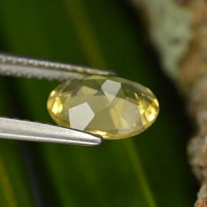Béryl doré jaune naturelle coupe ovale, 1,22 ct, VVS-VS