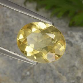 Béryl doré jaune naturelle coupe ovale, 1,48 ct, VS