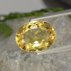 Béryl doré jaune naturelle coupe ovale, 1,52 ct, VVS-VS