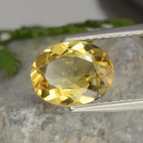Béryl doré jaune naturelle coupe ovale, 1,52 ct, VVS-VS