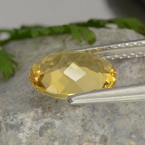 Béryl doré jaune naturelle coupe ovale, 1,52 ct, VVS-VS