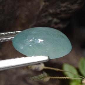 Grandidiérite Bleu électrique naturelle Coupe ovale, 1.87 ct, Translucide