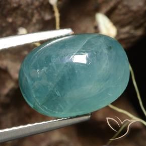 Grandidiérite Vert bleu moyen-foncé naturelle ovale, 6.02 ct, Translucide