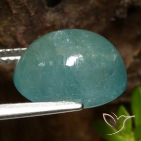 Grandidiérite Bleu vert moyen naturelle ovale, 6.92 ct, Translucide