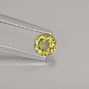 Grenat grossulaire vert naturelle coupe roude, 0,37 ct, VVS-VS