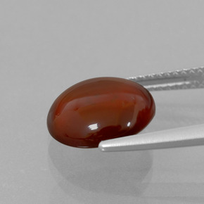 Grenat hessonite orange naturelle coupe roude, 5,68 ct, transparent