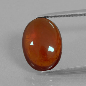 Grenat Hessonite Cannelle Orange naturelle Coupe ovale, 6.46 ct, Transparent