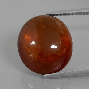 Grenat Hessonite Cannelle Orange naturelle Coupe ovale, 18.74 ct, Transparent