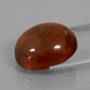 Grenat Hessonite Cannelle Orange naturelle Coupe ovale, 18.74 ct, Transparent