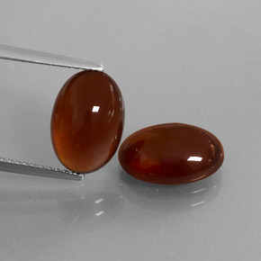 Achetez naturel 8,36ct marron grenat hessonite gems, coupe ovale, en provenance sri lanka chez gemselect. en stock, livraison internationale!