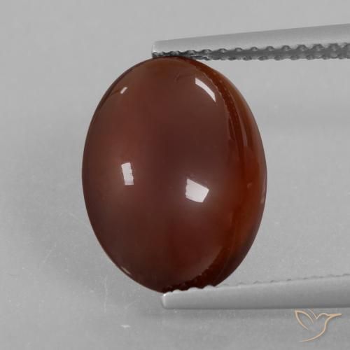 Grenat Hessonite Marron chaud naturelle ovale, 5.21 ct, Translucide