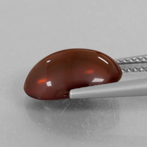 Grenat Hessonite Orange naturelle Coupe ovale, 5.65 ct, Translucide