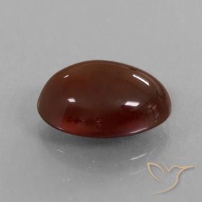 Grenat Hessonite Brun moyen-foncé naturelle ovale, 6.21 ct, Translucide