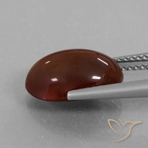 Grenat Hessonite Brun moyen-foncé naturelle ovale, 6.21 ct, Translucide