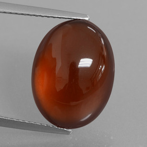 Grenat Hessonite Orange naturelle Coupe ovale, 12.33 ct, Translucide