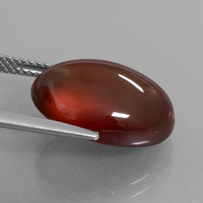 Grenat Hessonite Orange naturelle Coupe ovale, 12.33 ct, Translucide