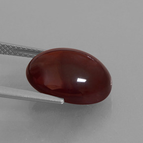 Grenat Hessonite Orange naturelle Coupe ovale, 9.13 ct, Translucide